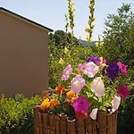 In Vino Veritas, Terre Marine Couette-café 4*