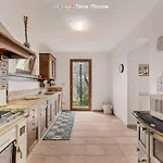 In Vino Veritas, Terre Marine 4*