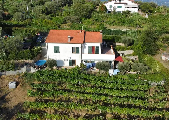 Couette-café In Vino Veritas 3*