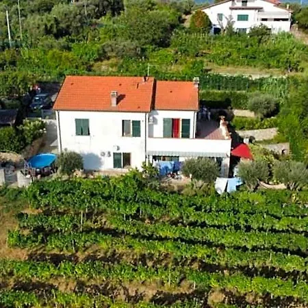 In Vino Veritas, Terre Marine 4* Arcola