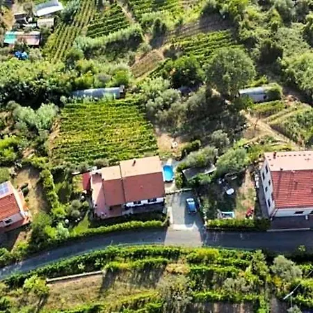 Oda ve Kahvaltı In Vino Veritas, Terre Marine