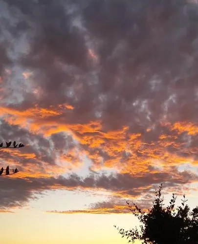 In Vino Veritas Arcola