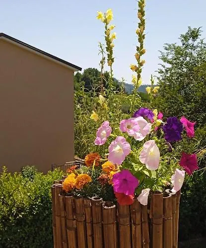 In Vino Veritas Bed & Breakfast 3*