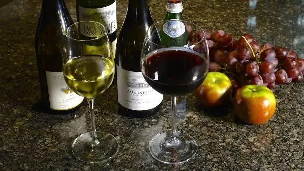 In Vino Veritas Nocleg ze śniadaniem 3*