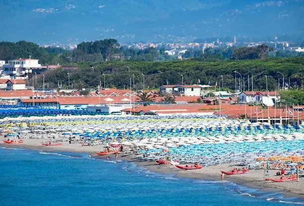 In Vino Veritas Arcola